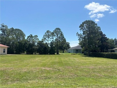 Looking for the perfect place to build? This vacant residential - photo 3