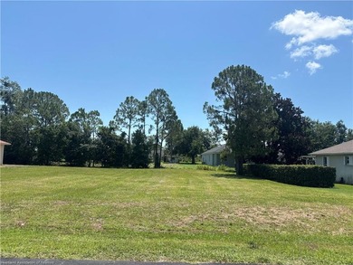 Looking for the perfect place to build? This vacant residential - photo 4