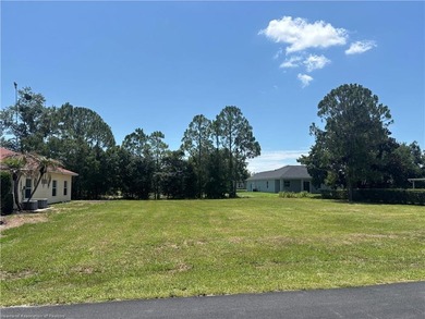 Looking for the perfect place to build? This vacant residential - photo 5