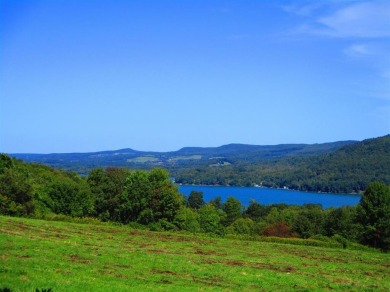 Lake Acreage For Sale in Cooperstown, New York