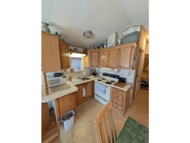 8515 US Highway 41 N lot #199 located in Winterset Mobile Home - photo 15