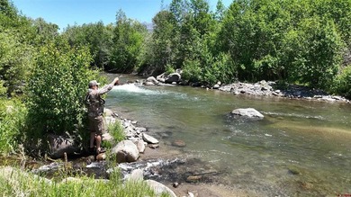 Justin D Osborn, The Wells Group of Durango, LLC, O:,,: This - photo 9