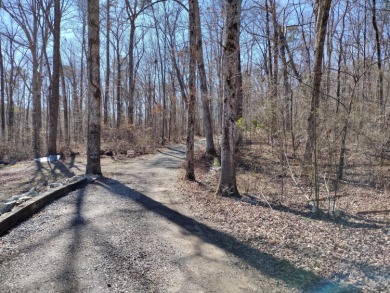 13 private wooded acres near Duskin Point Marina featuring a - photo 1