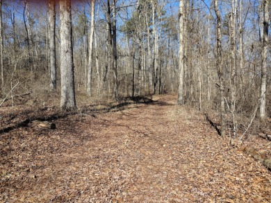 13 private wooded acres near Duskin Point Marina featuring a - photo 2