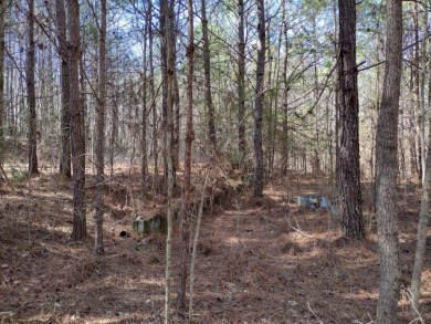 13 private wooded acres near Duskin Point Marina featuring a - photo 3