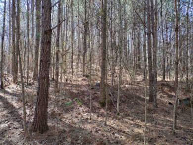 13 private wooded acres near Duskin Point Marina featuring a - photo 4