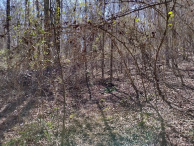 13 private wooded acres near Duskin Point Marina featuring a - photo 5