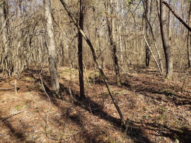 13 private wooded acres near Duskin Point Marina featuring a - photo 6