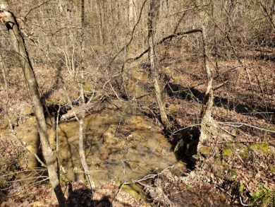 13 private wooded acres near Duskin Point Marina featuring a - photo 7