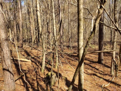 13 private wooded acres near Duskin Point Marina featuring a - photo 8