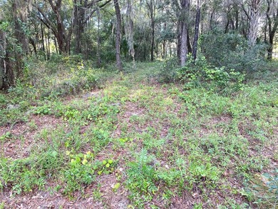 BEAUTIFUL WATERFRONT HOMESITE. Build your dream home on this .64 - photo 9