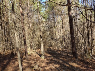 13 private wooded acres near Duskin Point Marina featuring a - photo 9