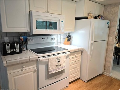 Move-in ready 2/2 at Spring Lake! Year-round living, seasonal - photo 10