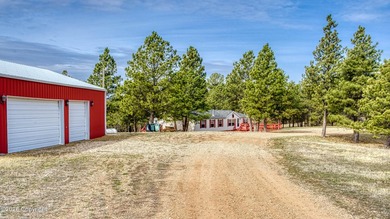 Prime commercial opportunity in Pine Haven! This 9.6-acre C-1 - photo 10