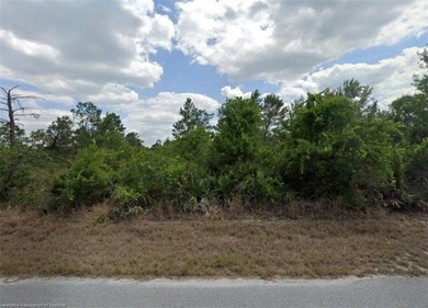Lake June in Winter Lot For Sale in Lake Placid Florida