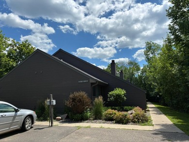 This beautifully updated 1-bedroom, 1-bath Quadna Mountain - photo 1