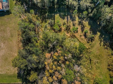 Lake Tarpon Acreage For Sale in Palm Harbor Florida