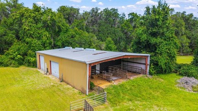 Timeless craftsmanship, wide-open spaces, and the kind of horse - photo 4