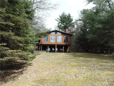 Blueberry Lake Home For Sale in Deposit New York