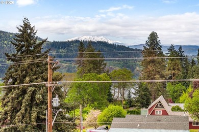 Developers & Investors - Rare White Salmon OpportunityBring your - photo 11