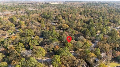 Welcome to a lake view haven where four bedrooms, three baths - photo 36