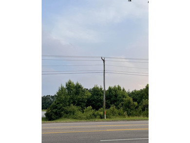 Desirable 1.64 General Business zoning Lot with approximately - photo 1