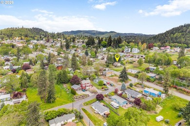 Developers & Investors - Rare White Salmon OpportunityBring your - photo 45