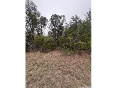 Lake Lot For Sale in Spring Branch, Texas