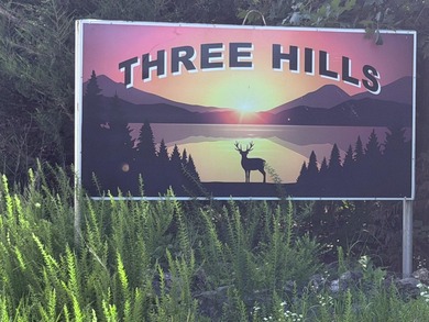 Welcome to 23 Little Fawn Lane in the sought-after 3 Hills - photo 3