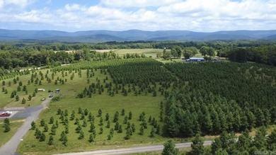 Build your dream home on this beautiful 2.54-acre property - photo 2