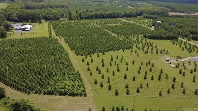 Build your dream home on this beautiful 2.54-acre property - photo 6