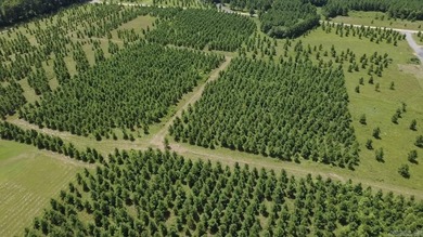Build your dream home on this beautiful 2.54-acre property - photo 7