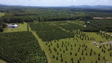 Build your dream home on this beautiful 2.54-acre property - photo 8