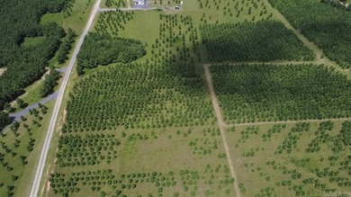 Build your dream home on this beautiful 2.54-acre property - photo 9