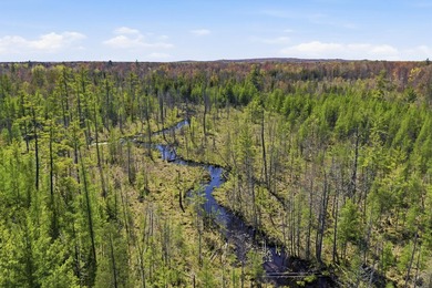 (private lake, pond, creek) Acreage Active Under Contract in White Cloud Michigan