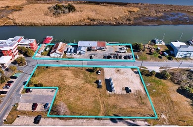 PRIME COMMERCIAL LISTING WITH NUMEROUS POSSIBILITIES TO MONETIZE - photo 1