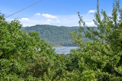 The ultimate lake package awaits @ 570 Indian Valley Rd! - photo 5