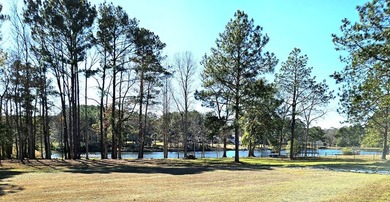 Wake up to peaceful pond views in one of Thomasville's most - photo 7