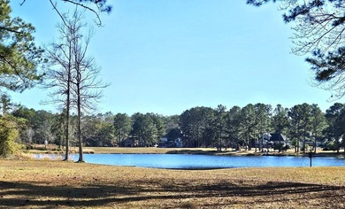 Wake up to peaceful pond views in one of Thomasville's most - photo 10