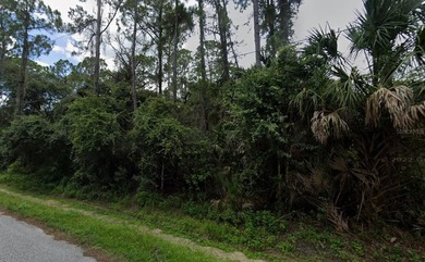 Beautiful lot in North Port. North Port is an area that has seen - photo 2