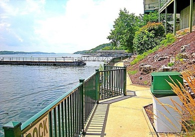 Impeccable 3-bedroom, 3-bath furnished lakefront condo with - photo 35