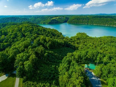 One of the best views one Dale Hollow Lake. Perk site has - photo 2