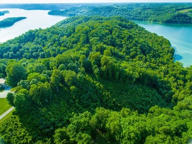 One of the best views one Dale Hollow Lake. Perk site has - photo 3