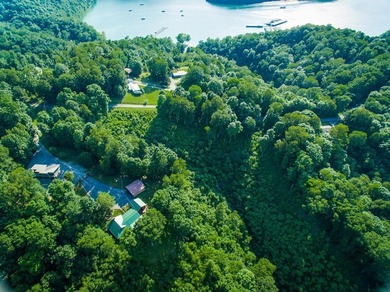 One of the best views one Dale Hollow Lake. Perk site has - photo 5