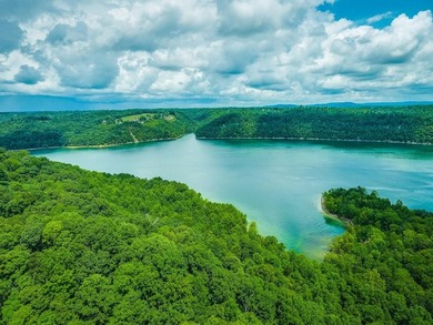 One of the best views one Dale Hollow Lake. Perk site has - photo 8