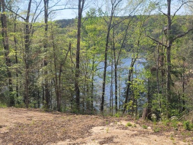 Unrestriced lake lot at Smith Lake, on Rock Creek  approx 1/2 - photo 3