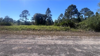 Lehigh Acres Area Lot For Sale in Lehigh Acres Florida