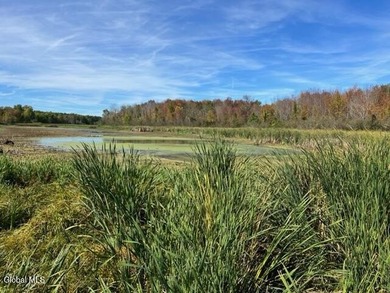 Claim your own 18.49-acre nature preserve! This remarkably - photo 2