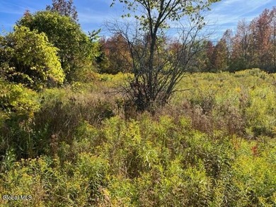 Claim your own 18.49-acre nature preserve! This remarkably - photo 3