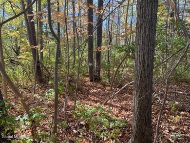 Claim your own 18.49-acre nature preserve! This remarkably - photo 5